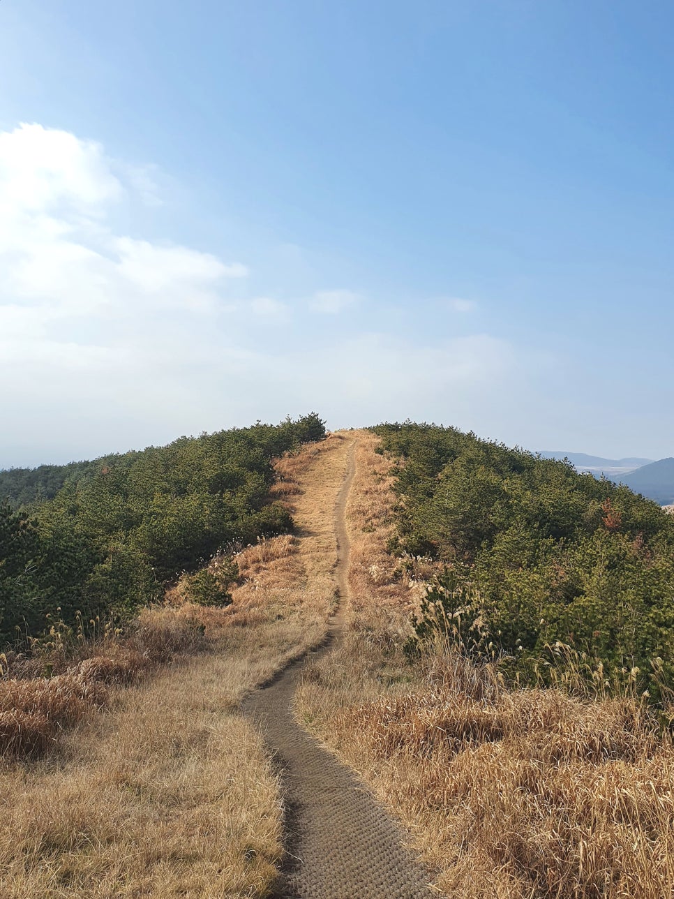 오름수산 이미지