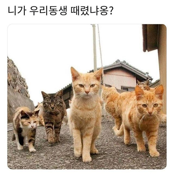 출장강습 이미지