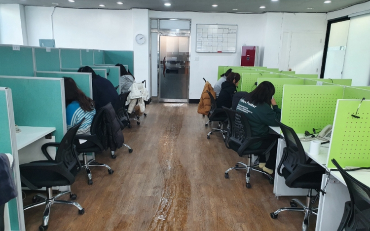 디비제이 이미지