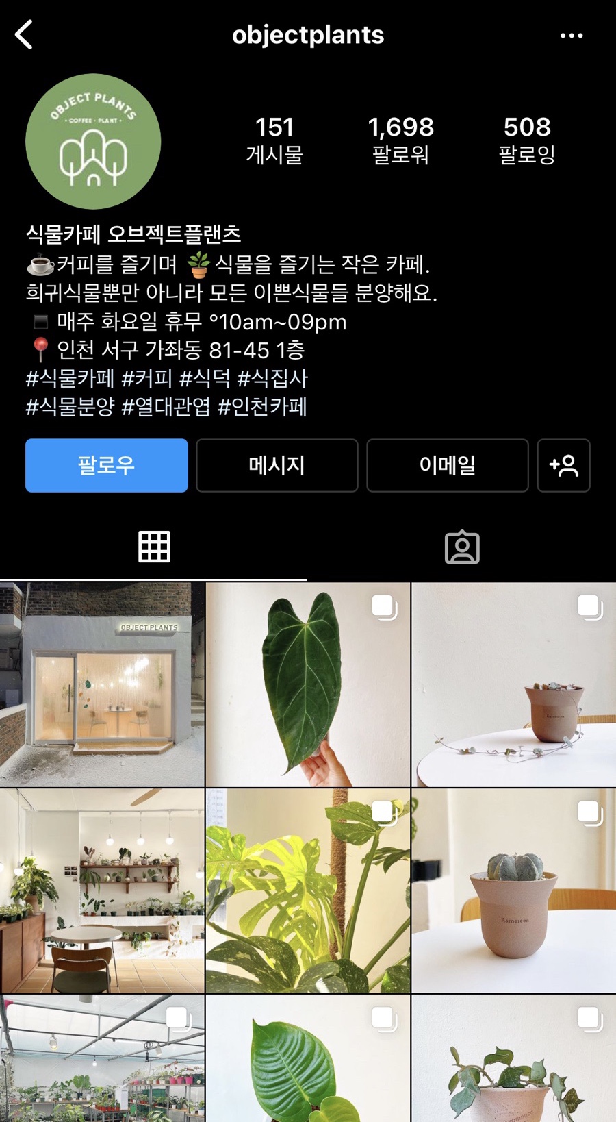 오브젝트플랜츠 이미지