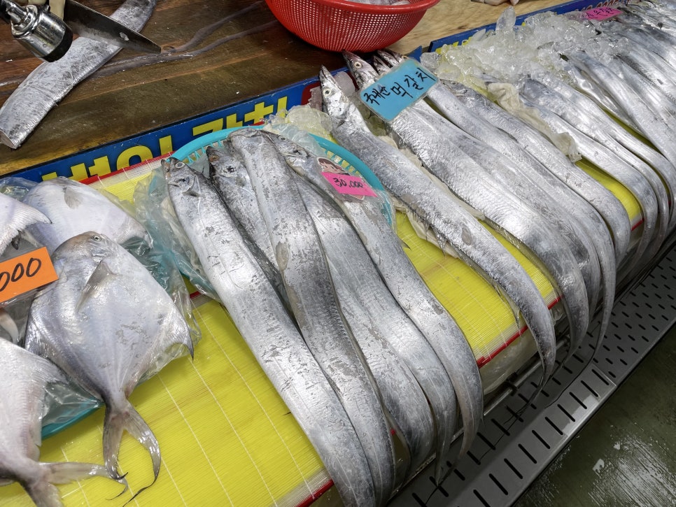 광희네선어 이미지