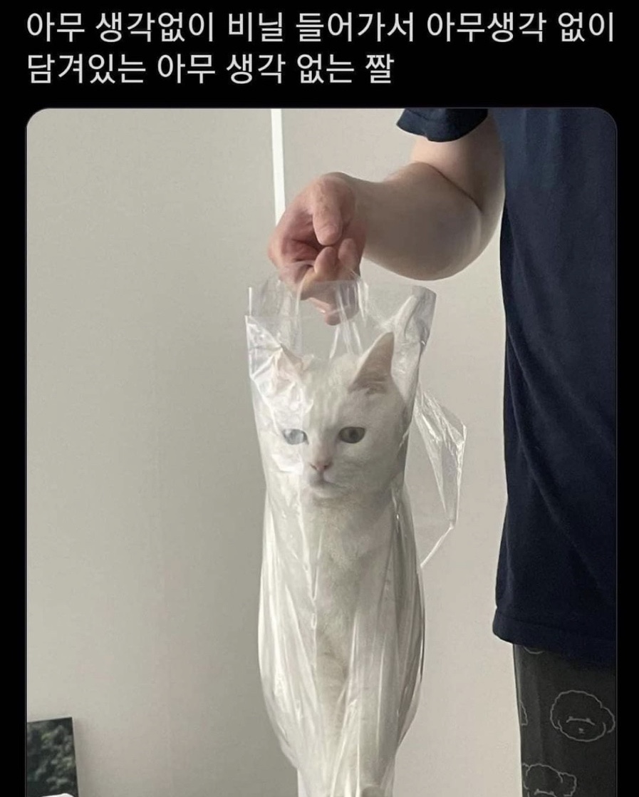 홍소 이미지
