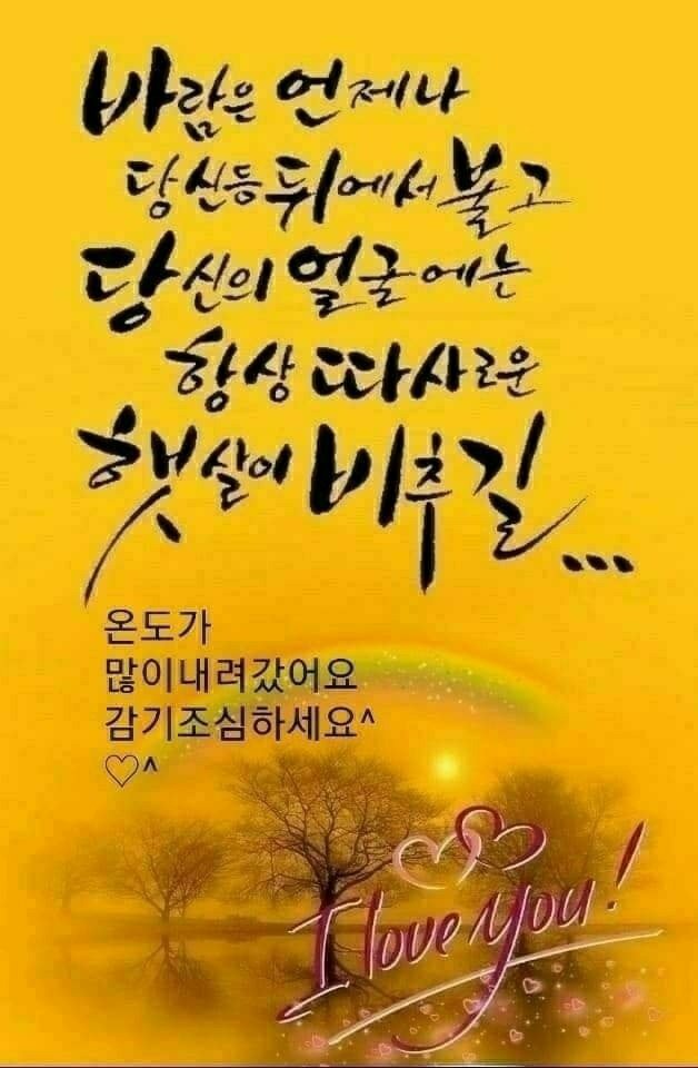 세종잉글리쉬피아노교습소 이미지