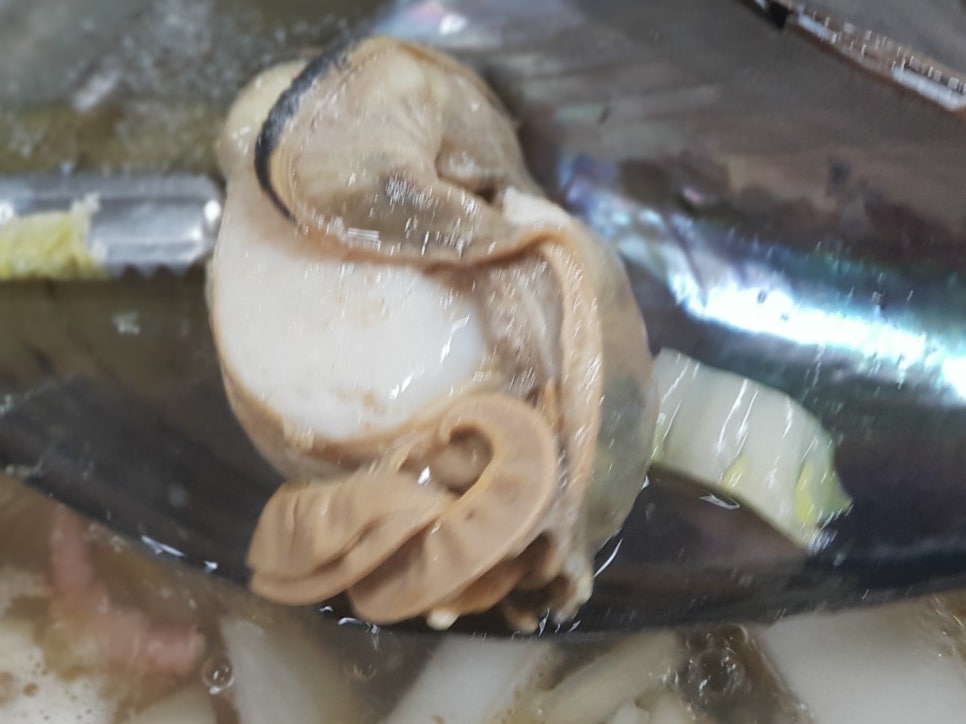 아구조아 이미지