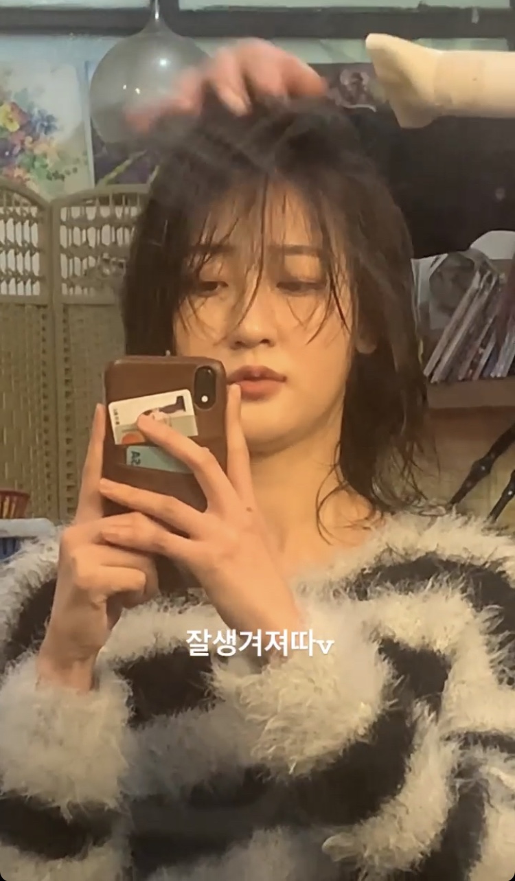 추은옥머리쟁이 이미지