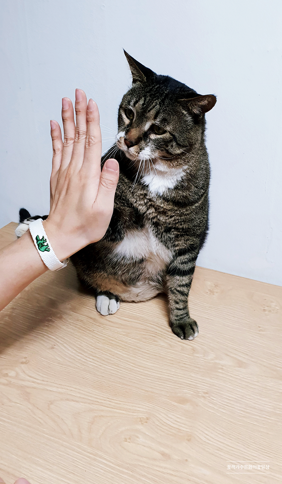 왼손오른손재주꾼 이미지