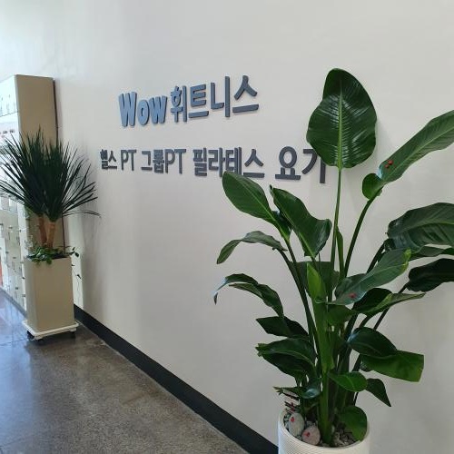 와우휘트니스 이미지