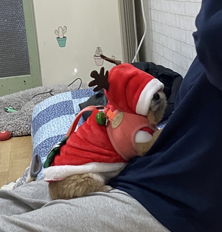 김인경제육집 이미지