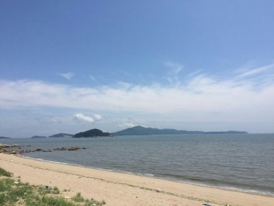 야문어 이미지