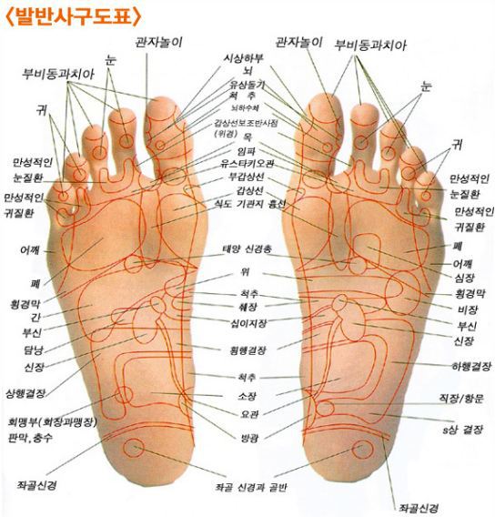 기능성신발슈올즈 이미지