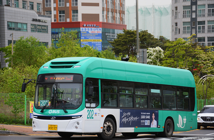 대흥여행사 이미지