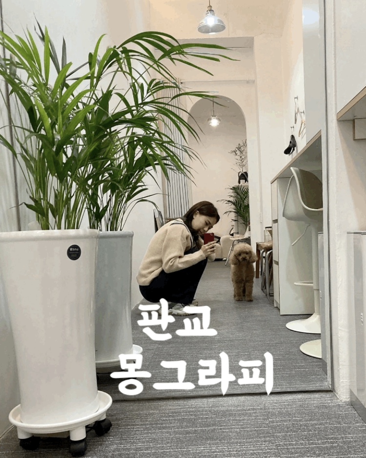 몽그라피 이미지