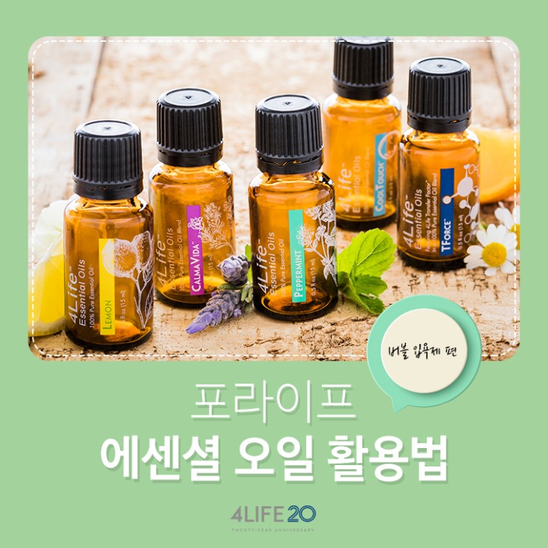라이프에센셜 이미지