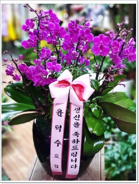 신세계꽃집 이미지