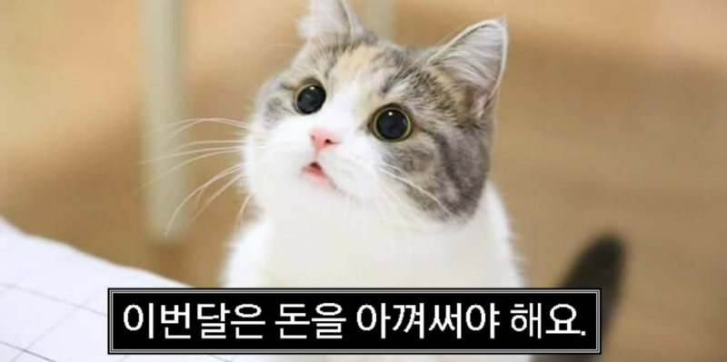 퍼플그레이 이미지