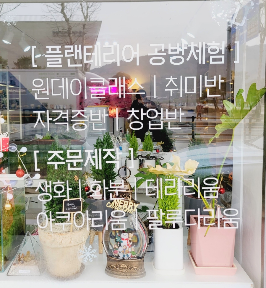 널;닮은꽃 이미지