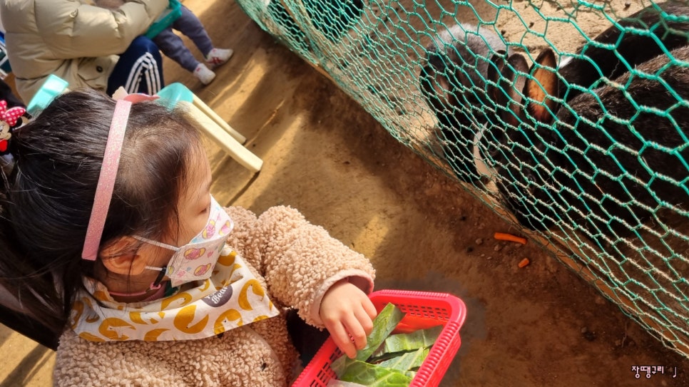 찬우물버섯농장 이미지