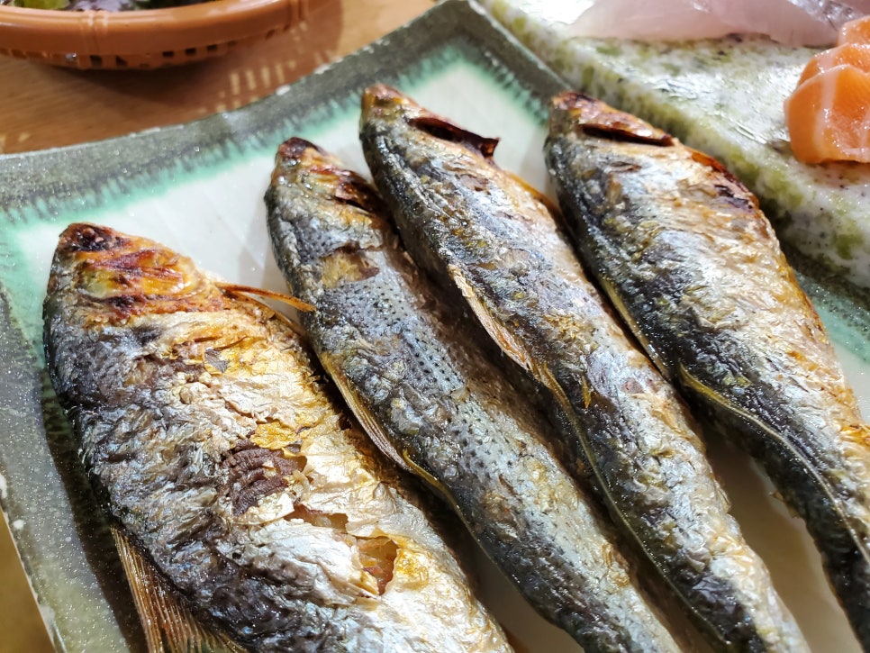 광어9900 이미지