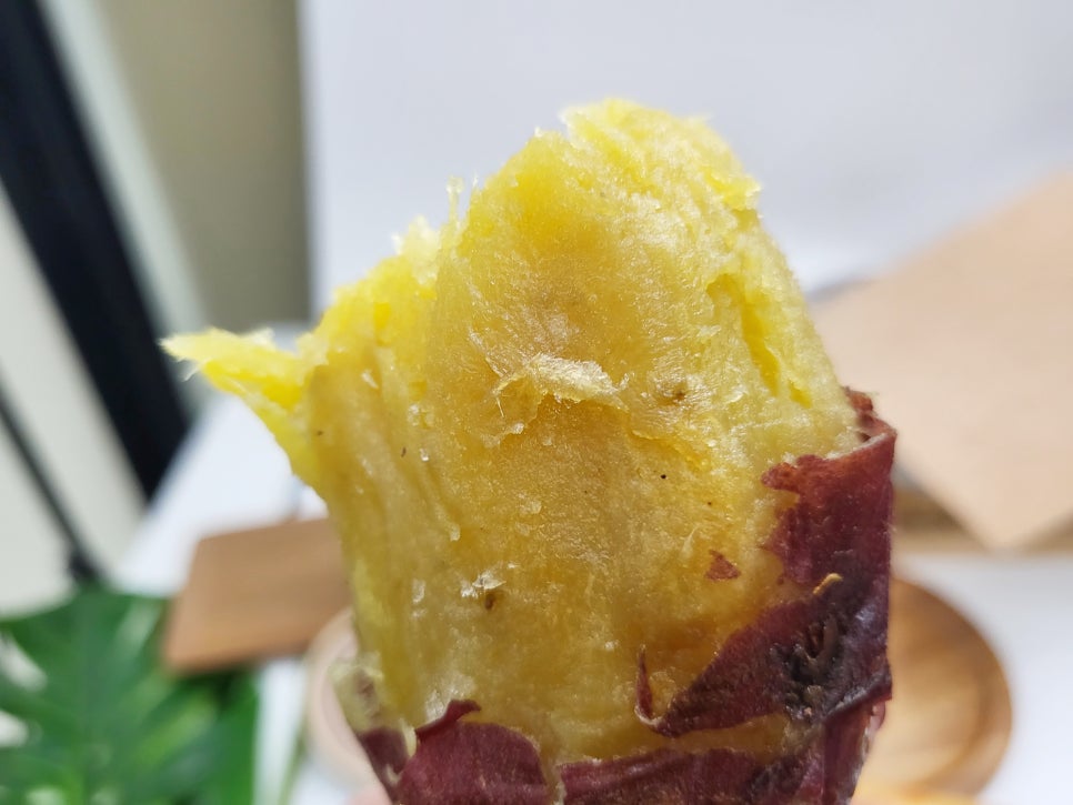 (주)가보팜스 이미지