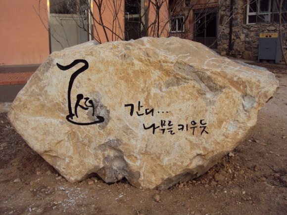 지혜사랑철학학교 이미지