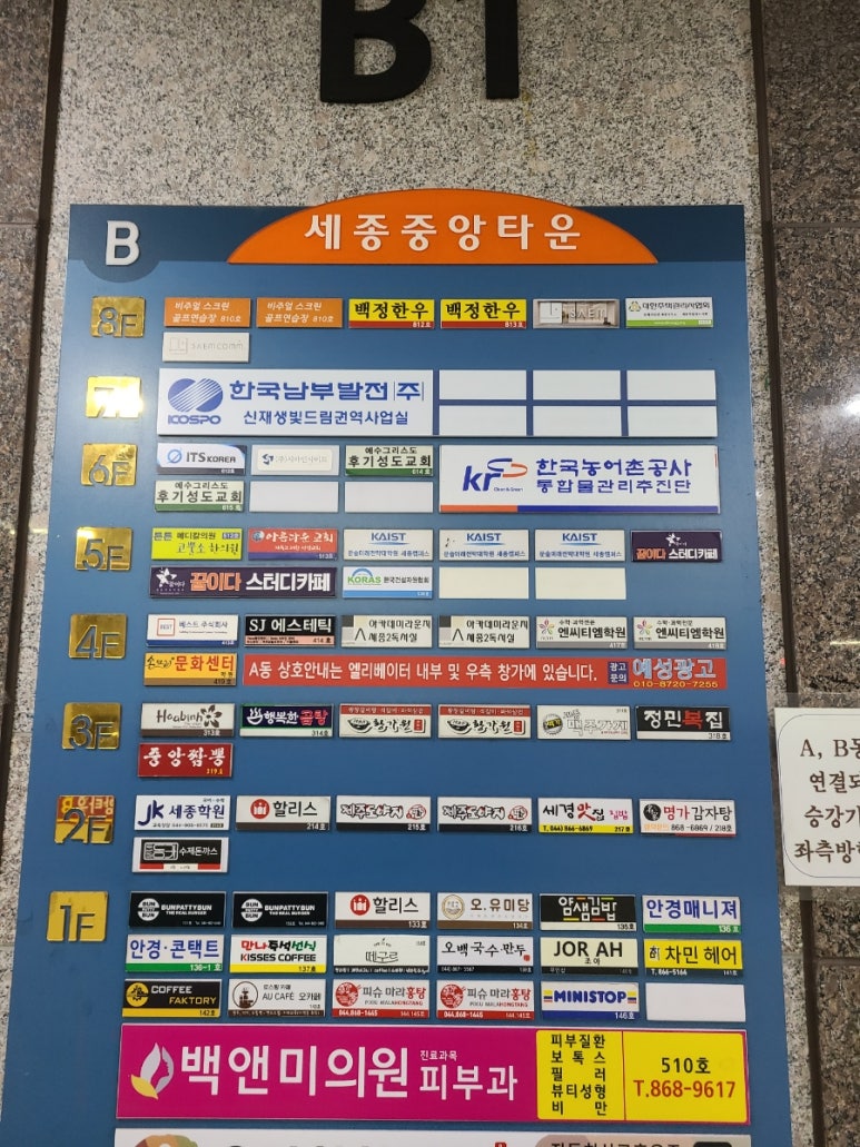 오;유미당세종정부 이미지