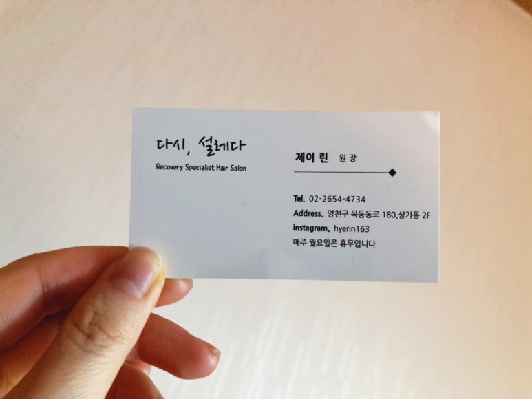 다시설레다 이미지