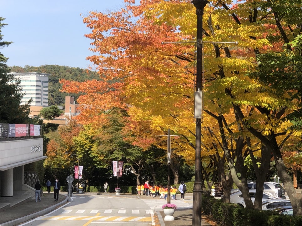 호서대학교부속유치원 이미지