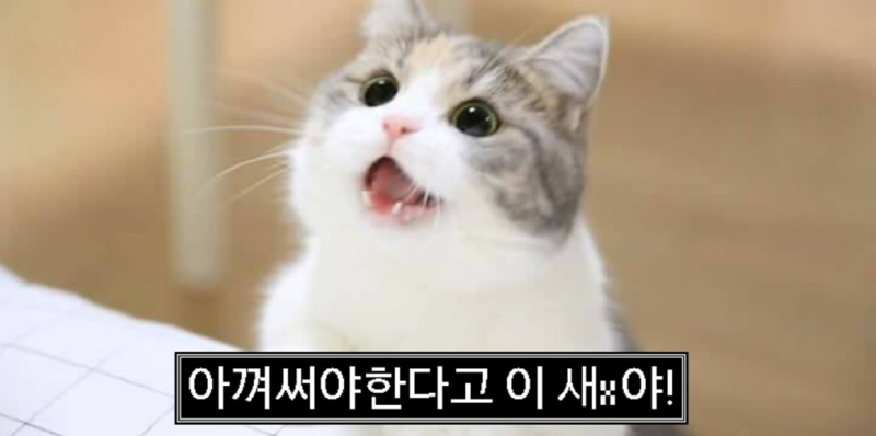 퍼플그레이 이미지