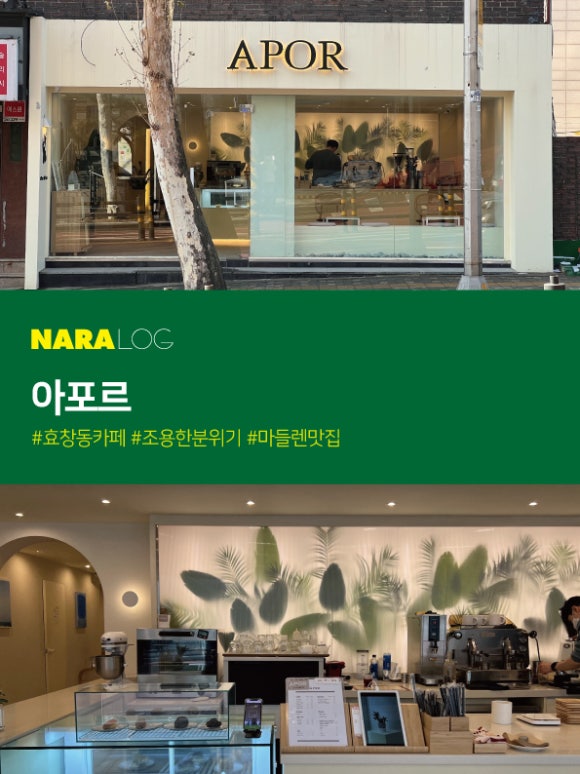 아포르 이미지