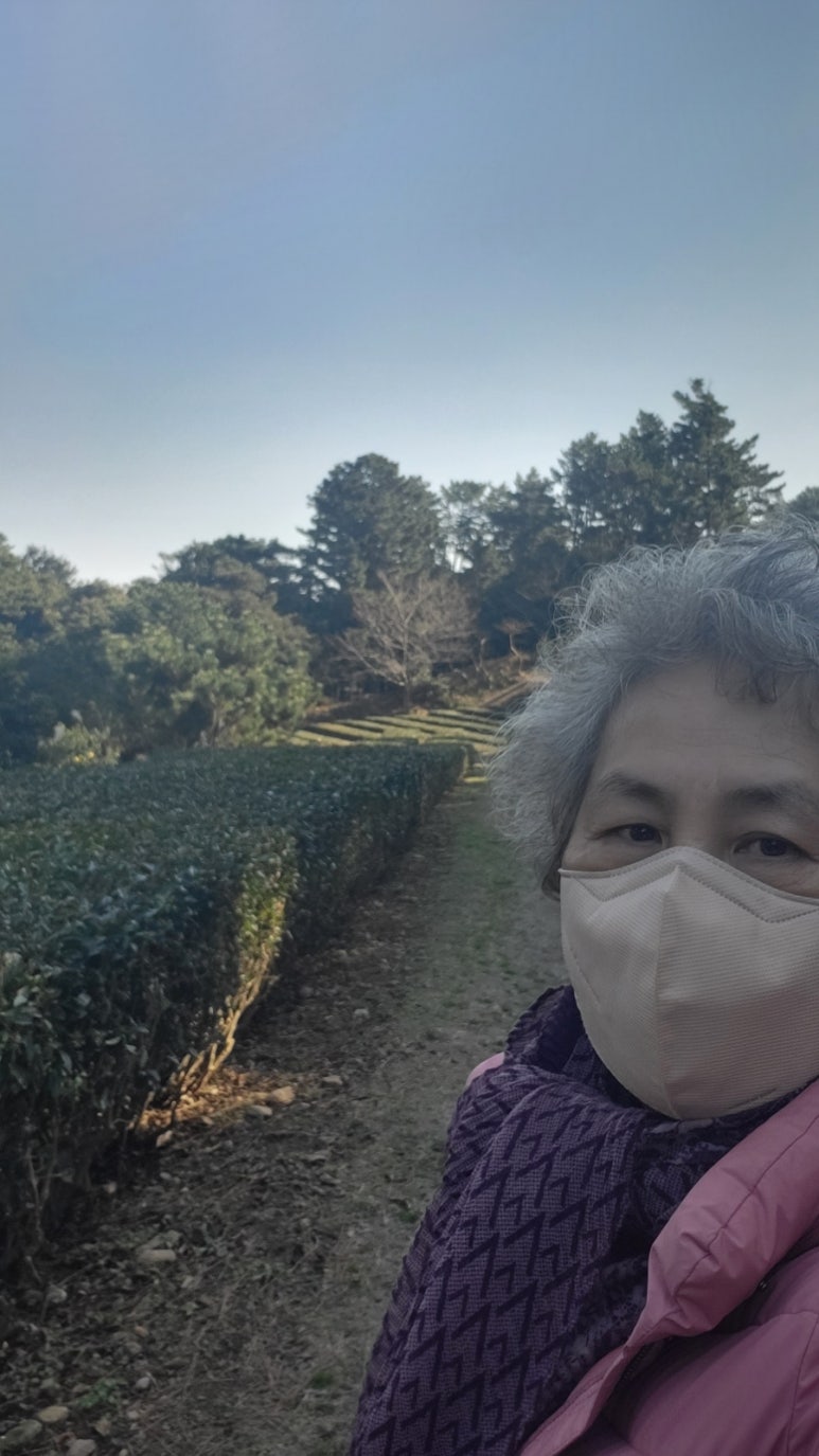 옐로우사이공 이미지