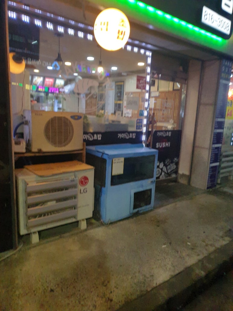 선학모밀 이미지