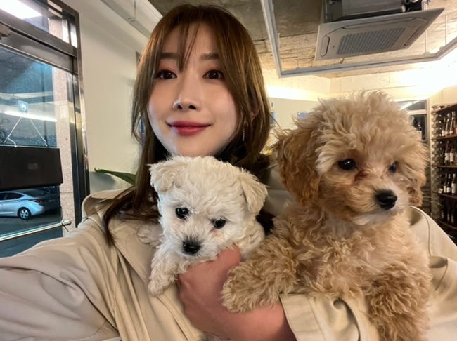 와인 인더 하우스 이미지
