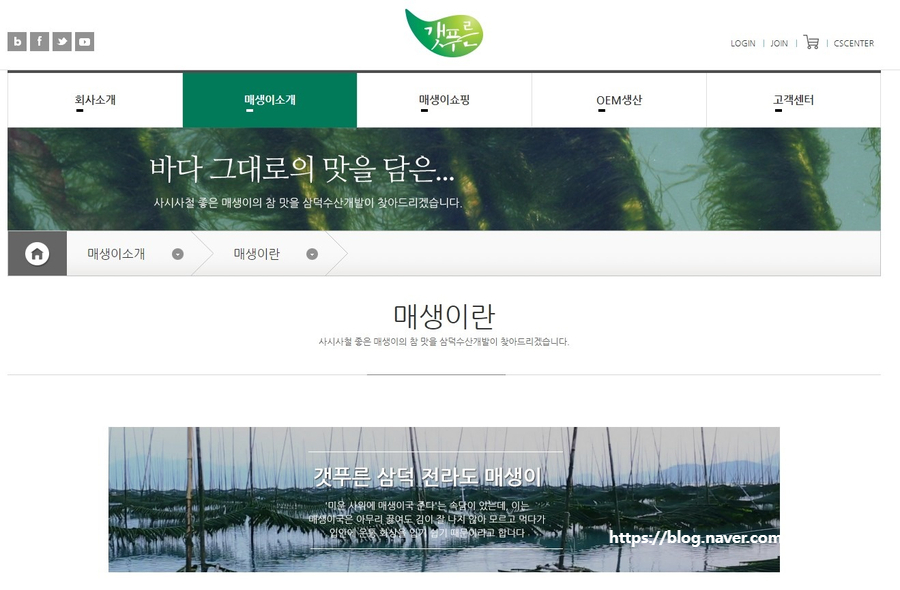 강진만영어조합법인 이미지
