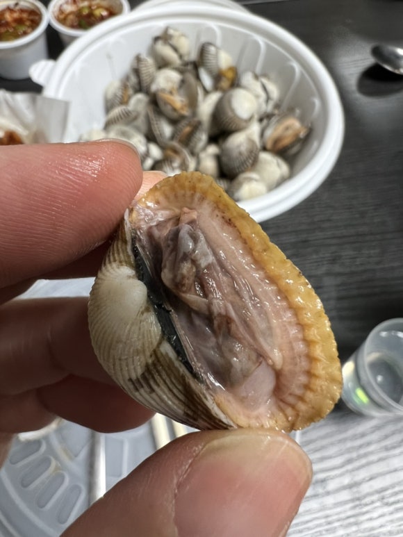 토탈안주 이미지