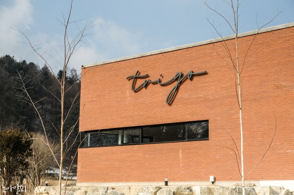 트리고(trigo) 이미지