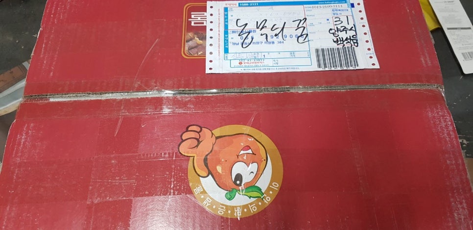 건강신발화장품 이미지