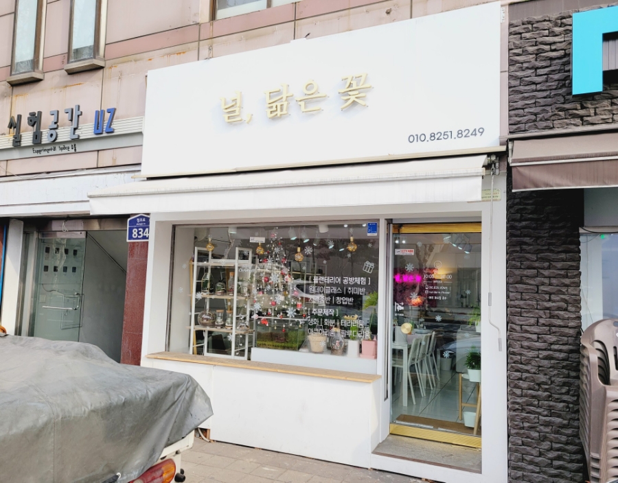 널;닮은꽃 이미지
