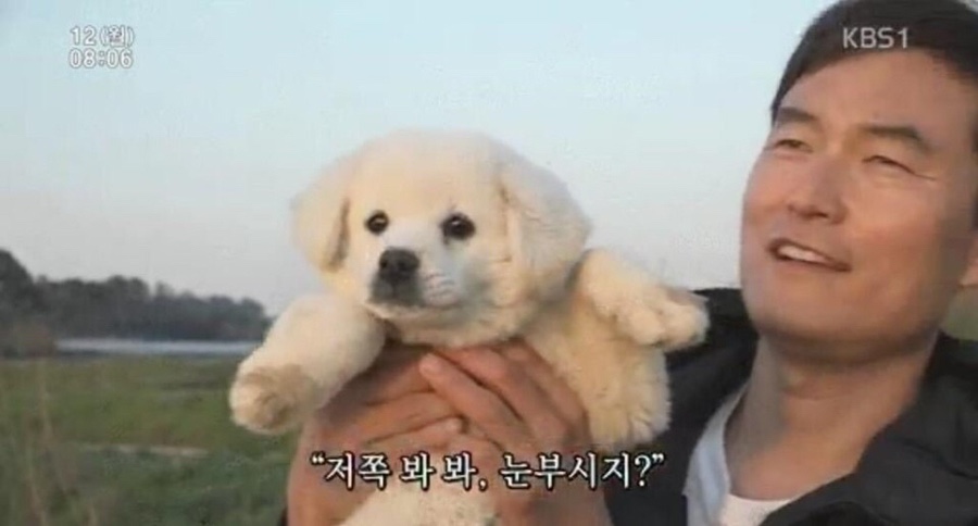 파랑새플러스 이미지