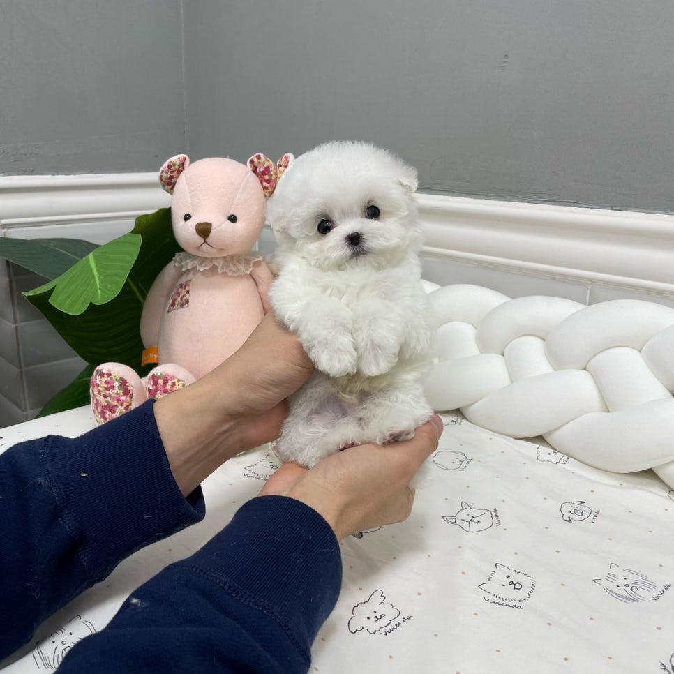 (주) 블러썸 이미지