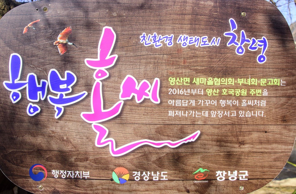 영산산림 이미지