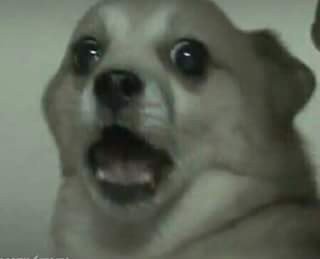 두둥 이미지