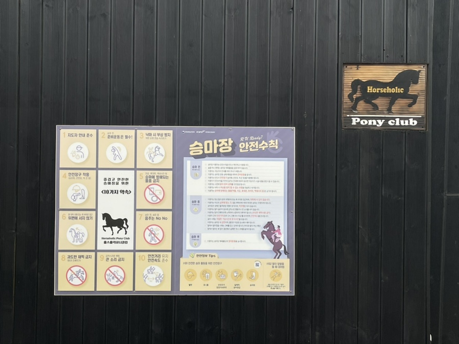 홀스홀릭포니클럽 이미지