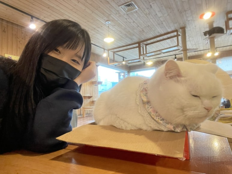 포토이즘박스평택역점 이미지