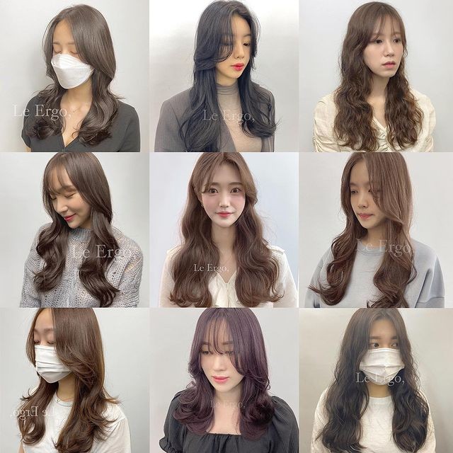르에르고 이미지