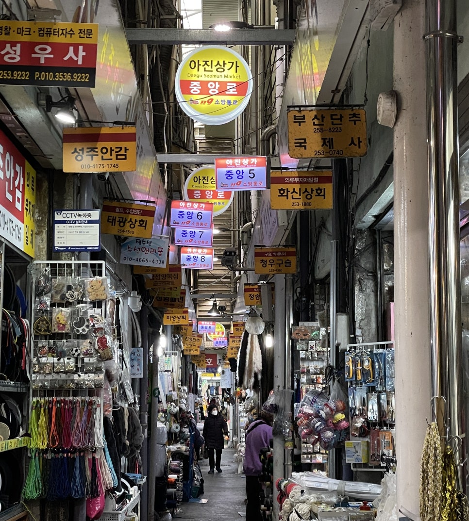 국제사 이미지