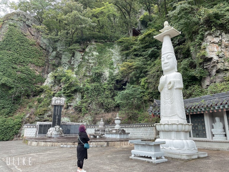 신진미헤어테라피 이미지