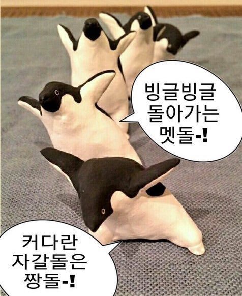 짱돌 이미지
