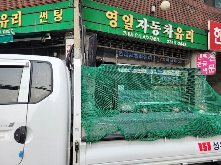 영일차유리 이미지