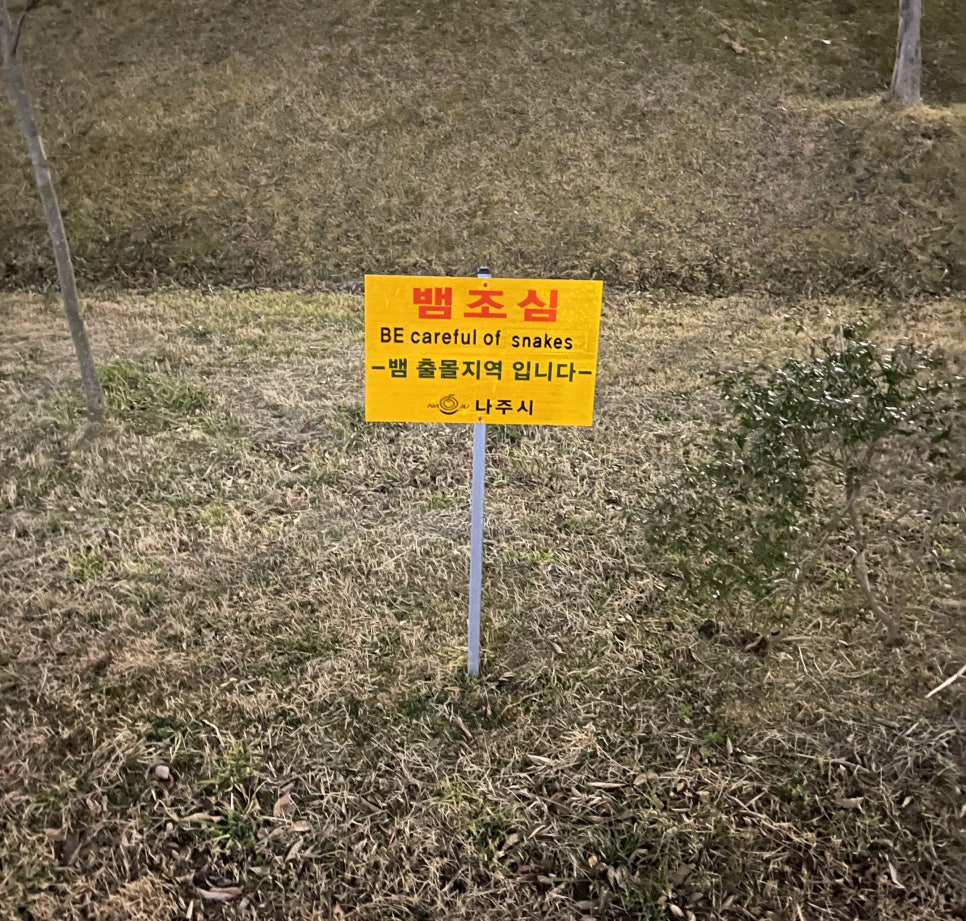 피자풀나주 이미지