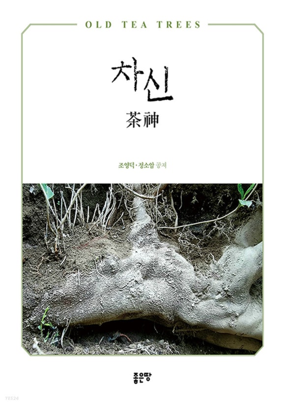 차신 이미지